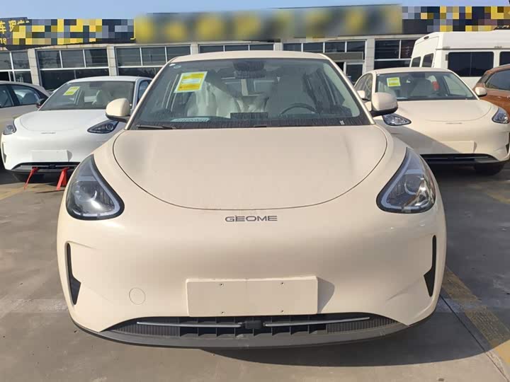 Geely Galaxy Geome 2026 2026款 310km 青春版