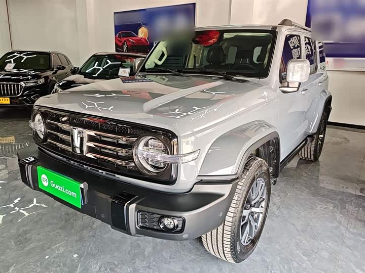 Tank 300 2024 2024款 2.0T 穿越者