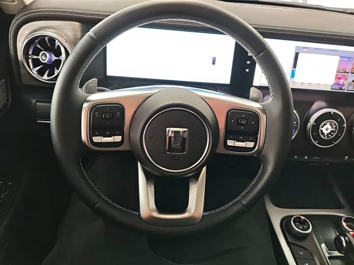 Tank 300 2024 2024款 2.0T 穿越者