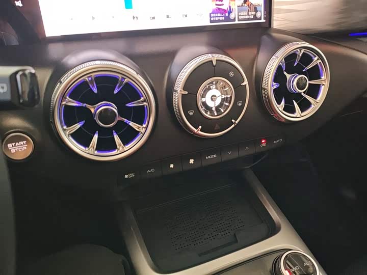 Tank 300 2024 2024款 2.0T 穿越者