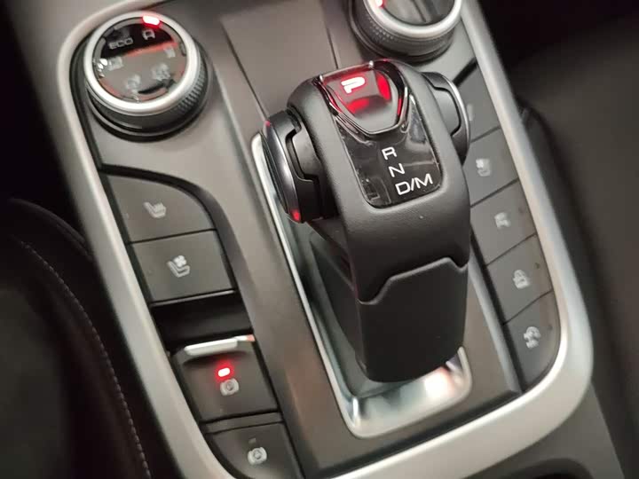 Tank 300 2024 2024款 2.0T 穿越者