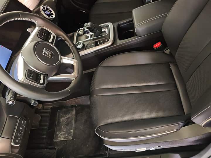 Tank 300 2024 2024款 2.0T 穿越者