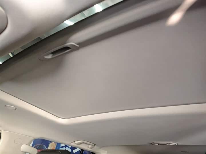 Tank 300 2024 2024款 2.0T 穿越者