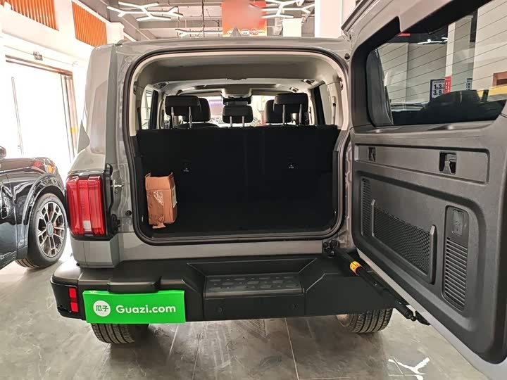 Tank 300 2024 2024款 2.0T 穿越者