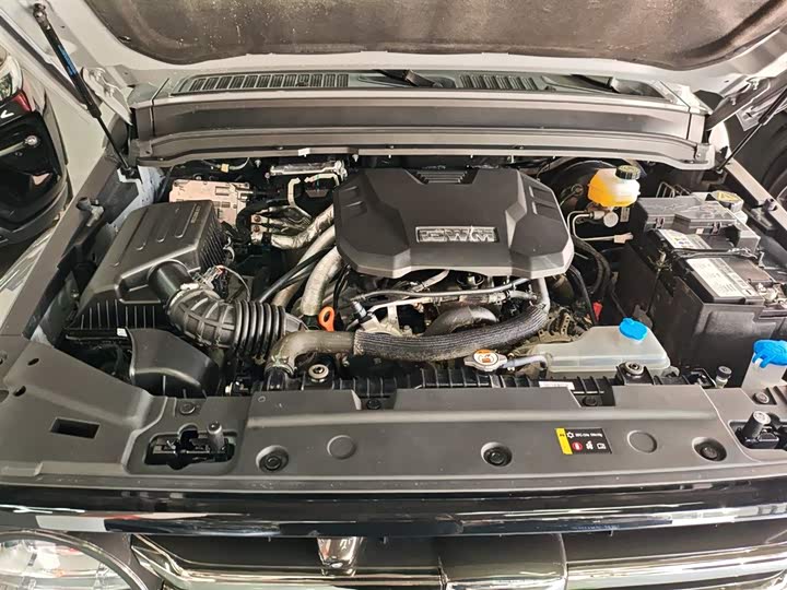 Tank 300 2024 2024款 2.0T 穿越者