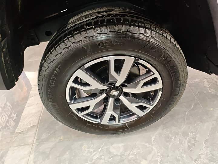 Tank 300 2024 2024款 2.0T 穿越者