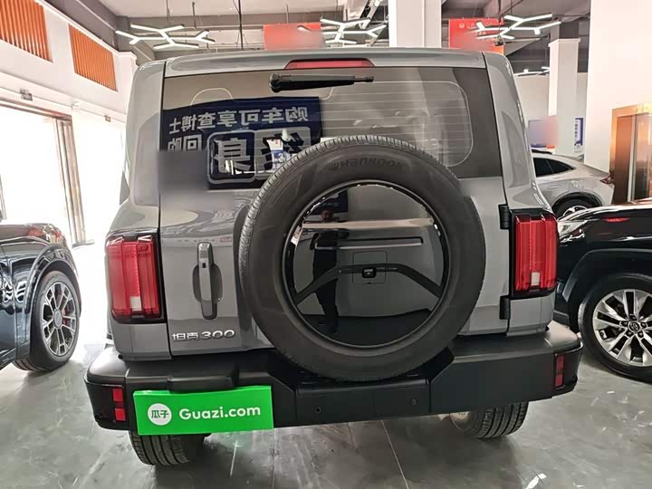 Tank 300 2024 2024款 2.0T 穿越者