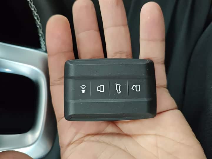 Tank 300 2024 2024款 2.0T 穿越者