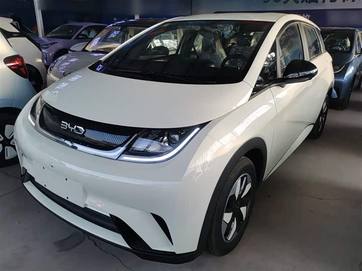 BYD Dolphin 2025 2025款 420km 自由版