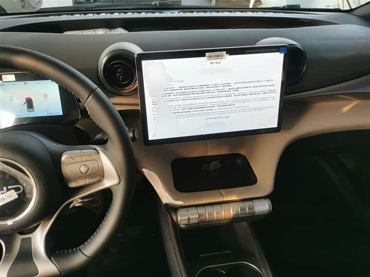 BYD Dolphin 2025 2025款 420km 自由版