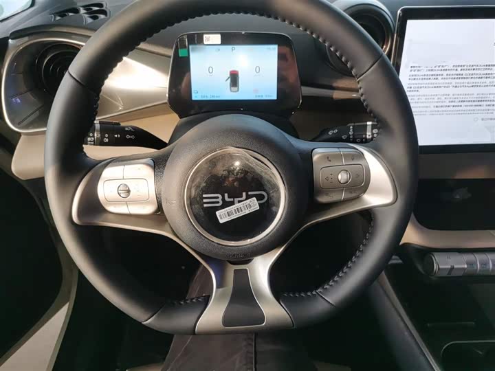 BYD Dolphin 2025 2025款 420km 自由版