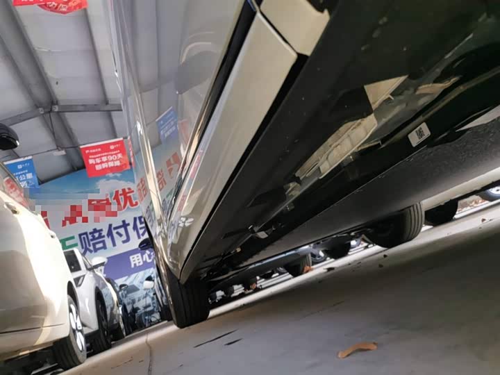 BYD Dolphin 2025 2025款 420km 自由版