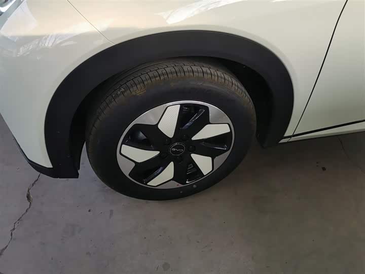 BYD Dolphin 2025 2025款 420km 自由版