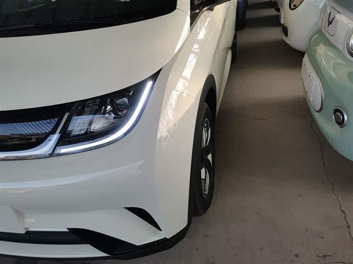 BYD Dolphin 2025 2025款 420km 自由版