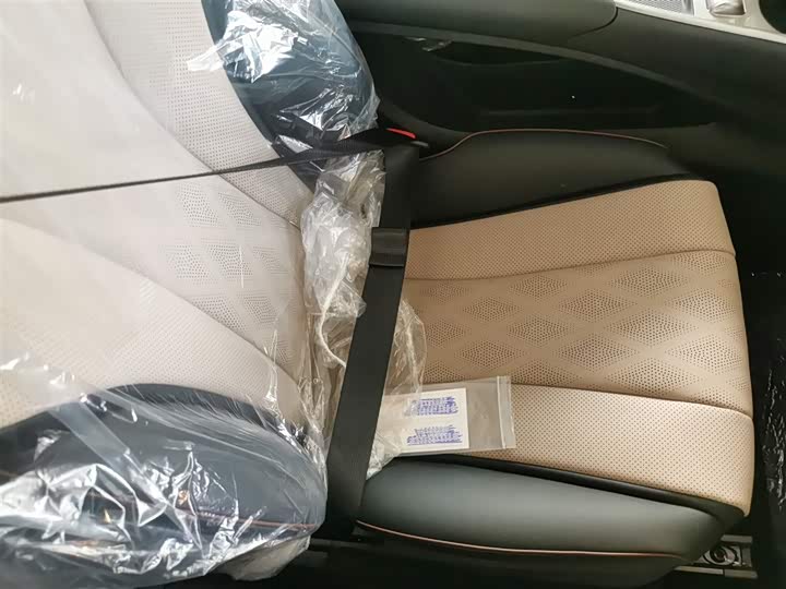 BYD Dolphin 2025 2025款 420km 自由版