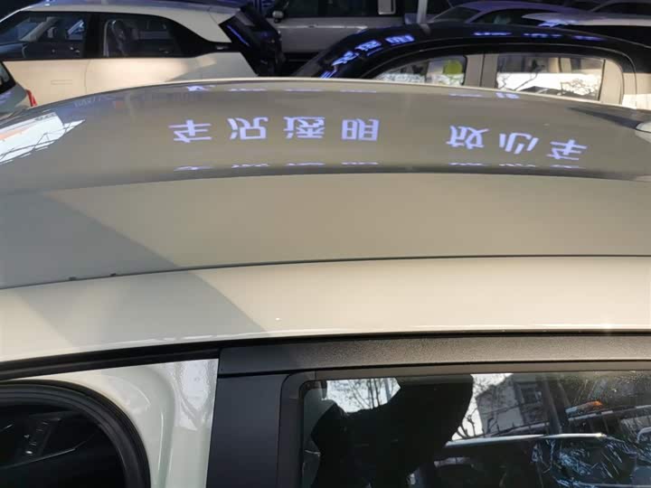 BYD Dolphin 2025 2025款 420km 自由版