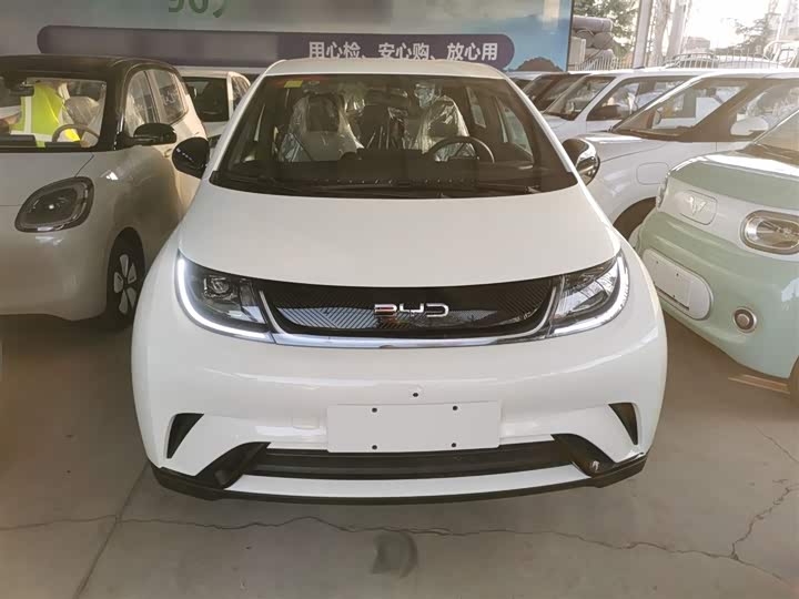 BYD Dolphin 2025 2025款 420km 自由版
