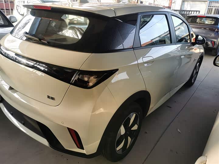 BYD Dolphin 2025 2025款 420km 自由版