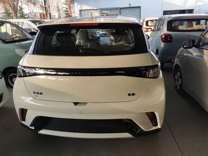 BYD Dolphin 2025 2025款 420km 自由版