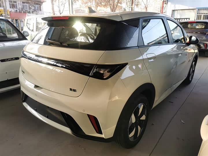 BYD Dolphin 2025 2025款 420km 自由版