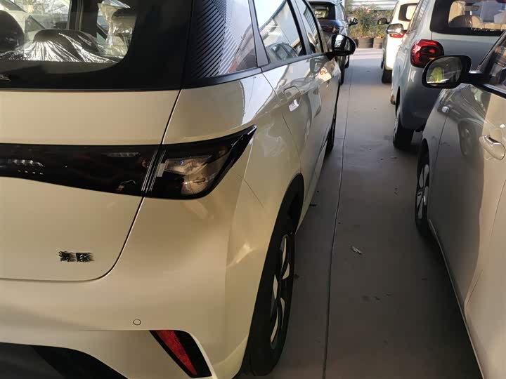 BYD Dolphin 2025 2025款 420km 自由版