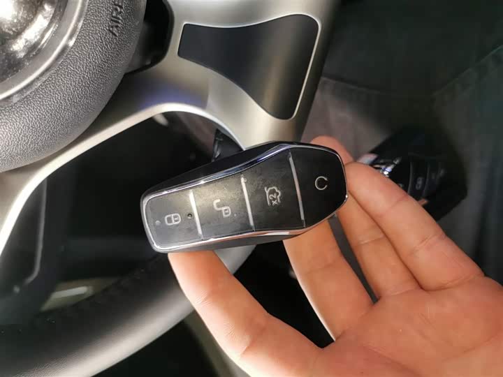 BYD Dolphin 2025 2025款 420km 自由版