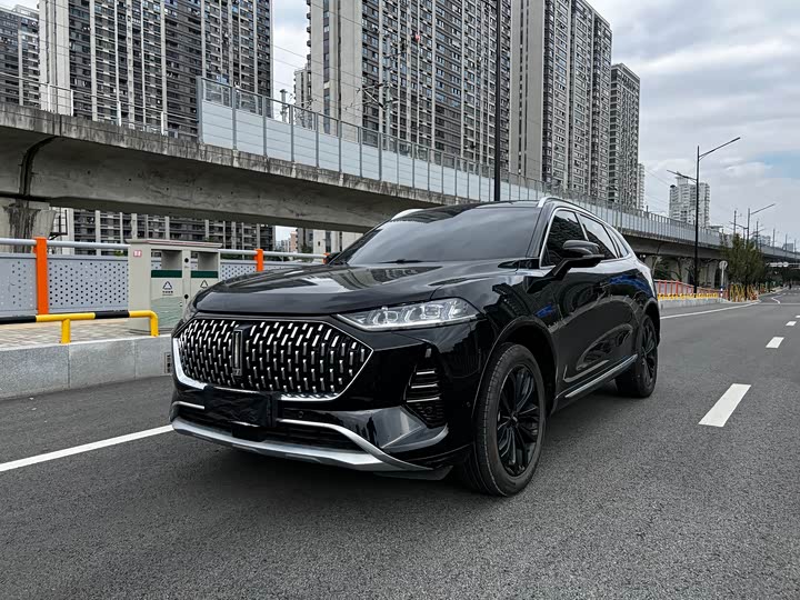 Wey Mocha 2021 2021款 2.0T 两驱特醇版