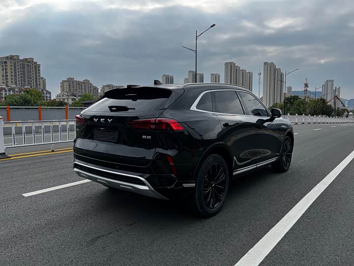 Wey Mocha 2021 2021款 2.0T 两驱特醇版