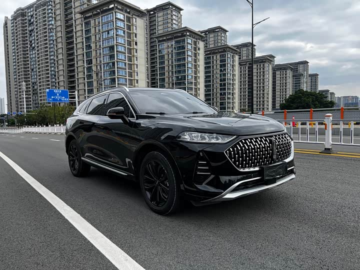 Wey Mocha 2021 2021款 2.0T 两驱特醇版