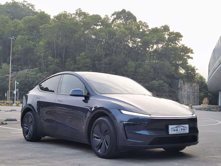 Tesla Model Y 2025 2025款 后轮驱动 首发版