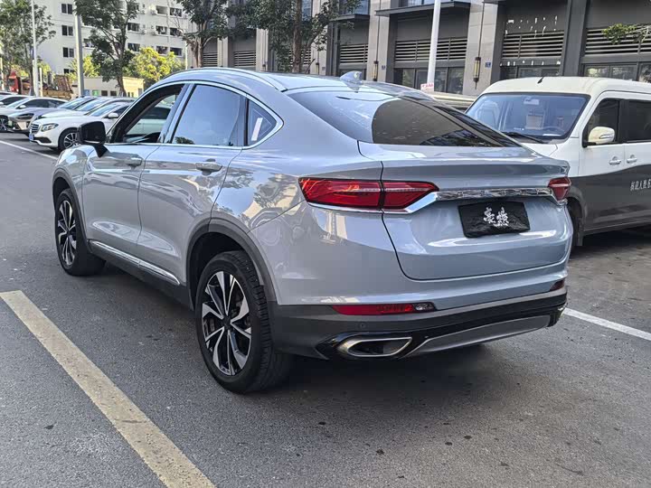 Geely Tugella S 2021 2021款 2.0TD DCT两驱雷霆版