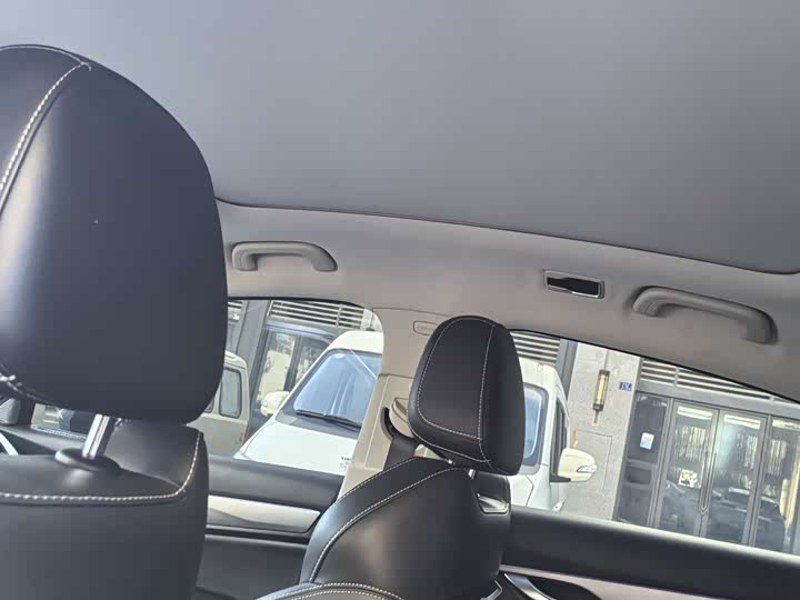 Geely Tugella S 2021 2021款 2.0TD DCT两驱雷霆版