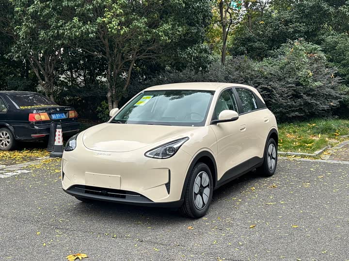 Geely Galaxy Geome 2026 2026款 310km 青春版