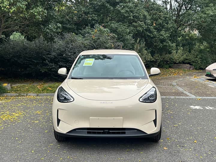 Geely Galaxy Geome 2026 2026款 310km 青春版