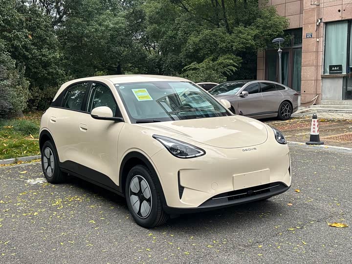 Geely Galaxy Geome 2026 2026款 310km 青春版