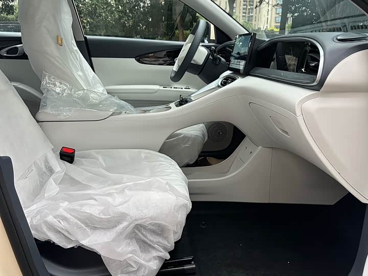 Geely Galaxy Geome 2026 2026款 310km 青春版