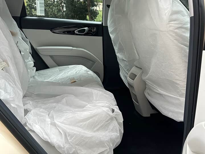 Geely Galaxy Geome 2026 2026款 310km 青春版