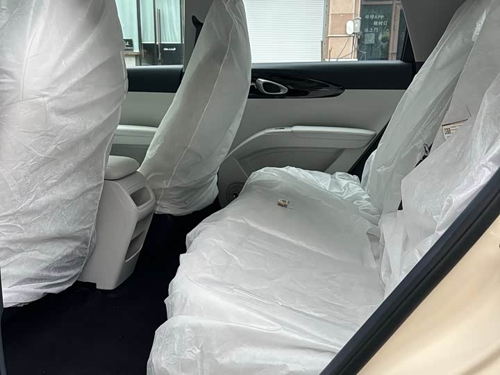 Geely Galaxy Geome 2026 2026款 310km 青春版