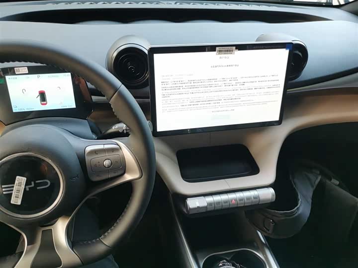 BYD Dolphin 2025 2025款 420km 自由版