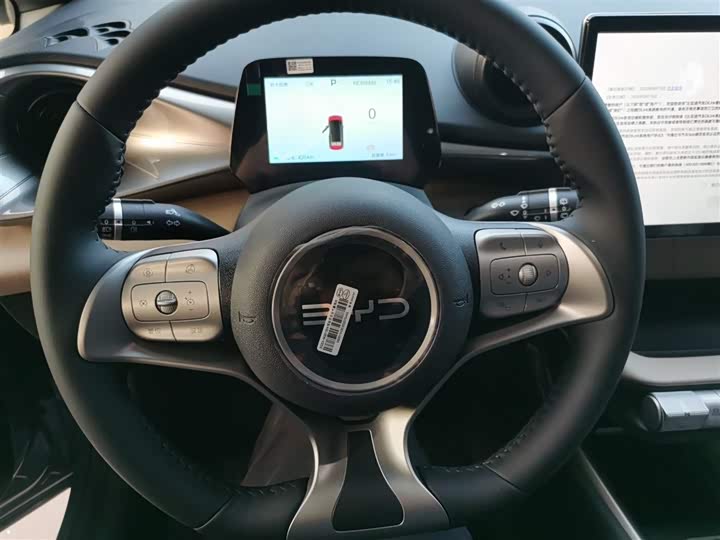 BYD Dolphin 2025 2025款 420km 自由版