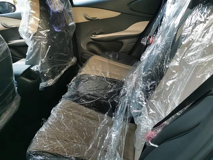 BYD Dolphin 2025 2025款 420km 自由版