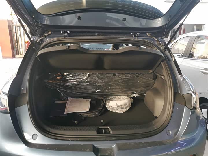 BYD Dolphin 2025 2025款 420km 自由版