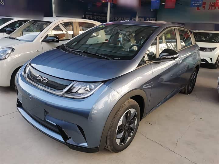 BYD Dolphin 2025 2025款 420km 自由版