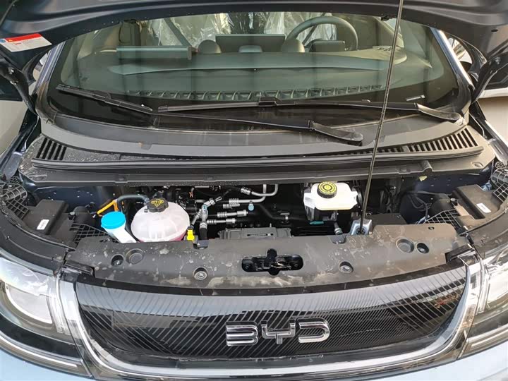 BYD Dolphin 2025 2025款 420km 自由版