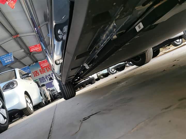 BYD Dolphin 2025 2025款 420km 自由版