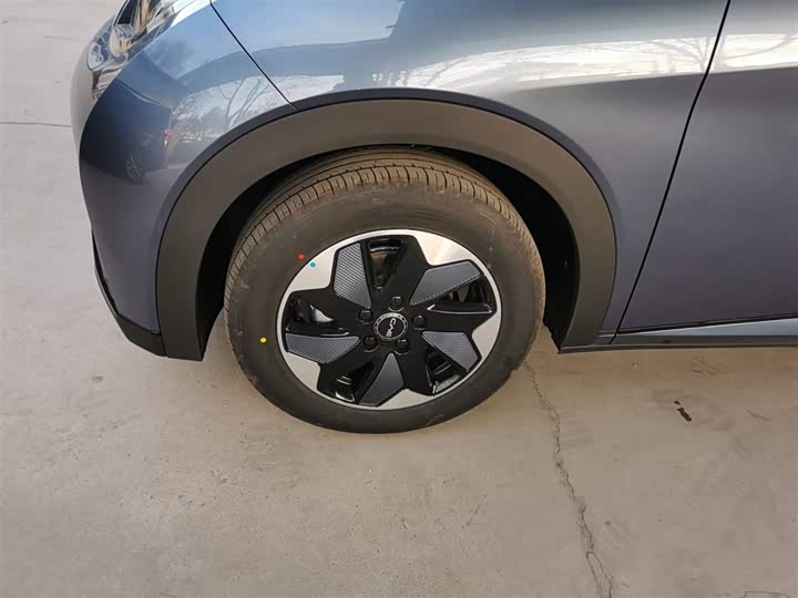 BYD Dolphin 2025 2025款 420km 自由版