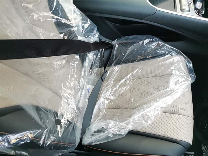 BYD Dolphin 2025 2025款 420km 自由版