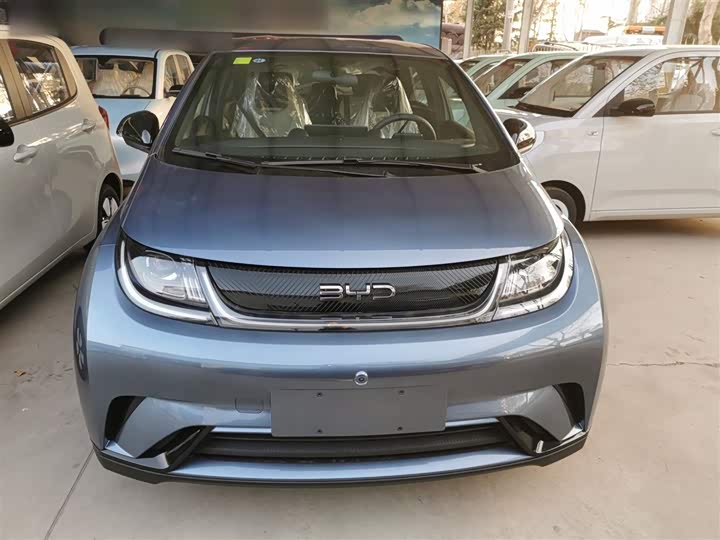 BYD Dolphin 2025 2025款 420km 自由版