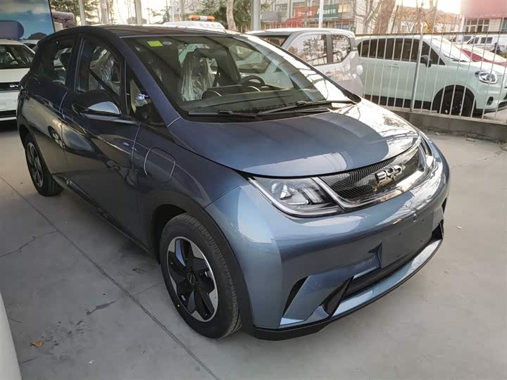 BYD Dolphin 2025 2025款 420km 自由版