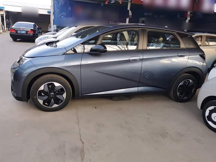 BYD Dolphin 2025 2025款 420km 自由版
